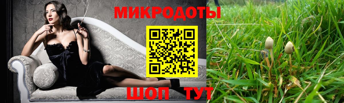 Галлюциногенные грибы Cubensis Полевской